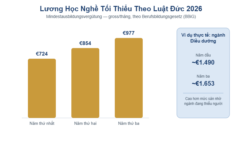 Biểu đồ lương học nghề tối thiểu Ausbildung theo luật Đức 2026: năm 1 €724, năm 2 €854, năm 3 €977, kèm ví dụ thực tế ngành điều dưỡng